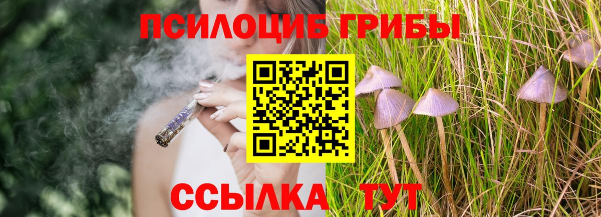 Галлюциногенные грибы Psilocybe  Вход с VPN  Псилоцибиновые грибы Psilocybine cubensis  Грозный 